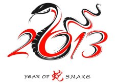 2013-snake-year
