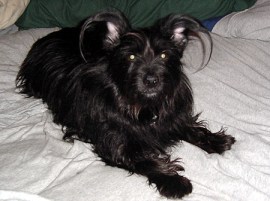 2802215946_70b76219d4_o