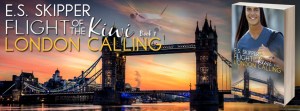 Flight of the Kiwi London Calling Facebook Cover Art