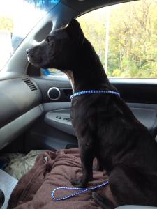 10743836_10152795433533629_1154023989_n