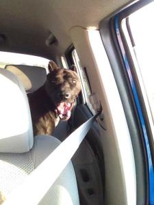 10748966_10152795446988629_959524479_n