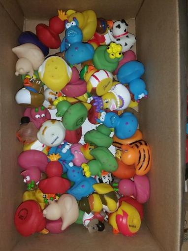 1907951_384018295084688_2755984974701762743_n