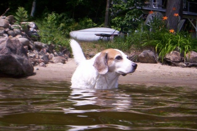 5082447_1435349649.0369