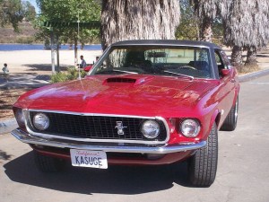 3365351593_a8772066c2_z