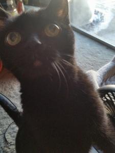 12435651_561566640663185_1691999652_n