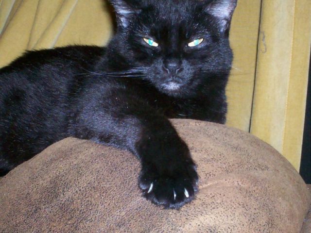 957678270_5ac88d8001_o