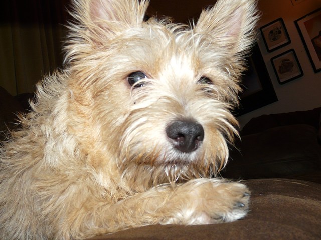 3048842537_0f9ea2579b_o