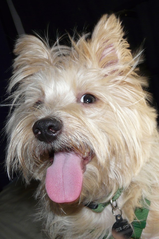 3947234333_111b28c0bf_o