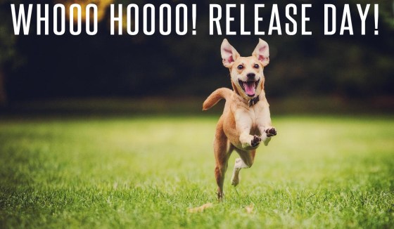 happy-dog-running-by-500px