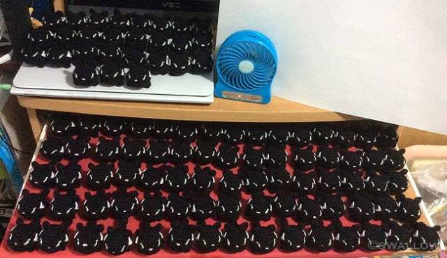 13775846_1204860839538291_5868825232725171014_n